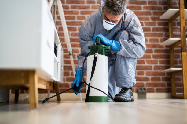 Best Fumigation Services  in Rancho Santa Fe, CA